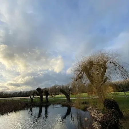Ferme Chateau Propriete Equestre Villa *